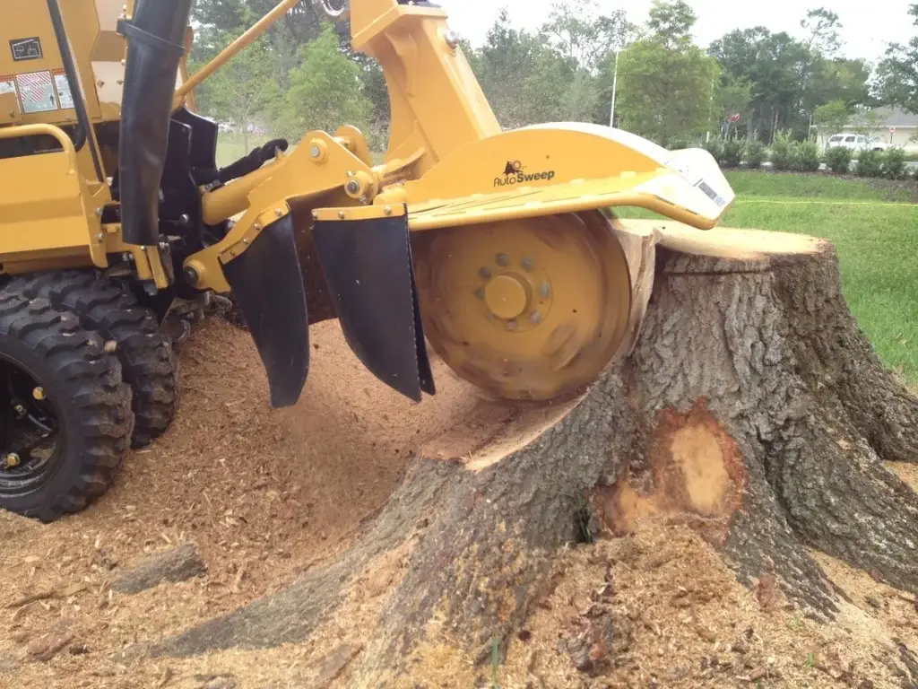 stump grinding services