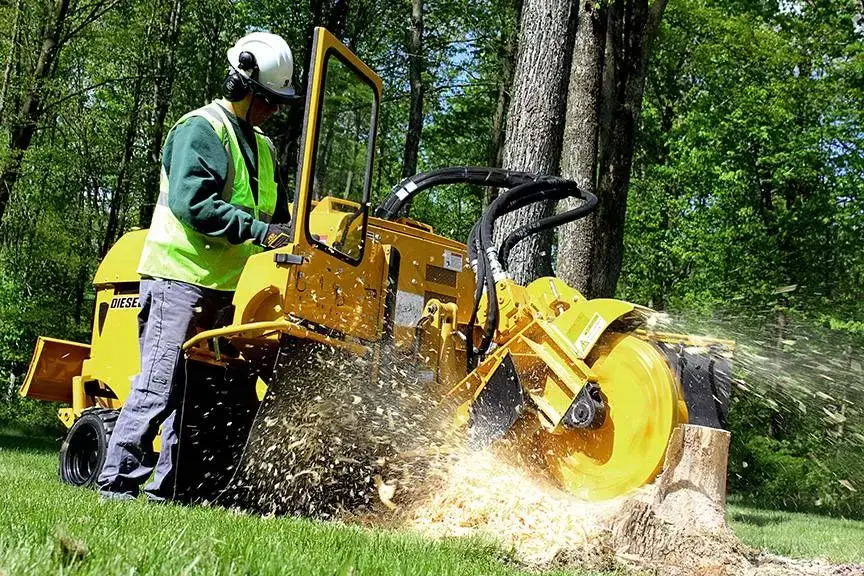 tree stump grinding services