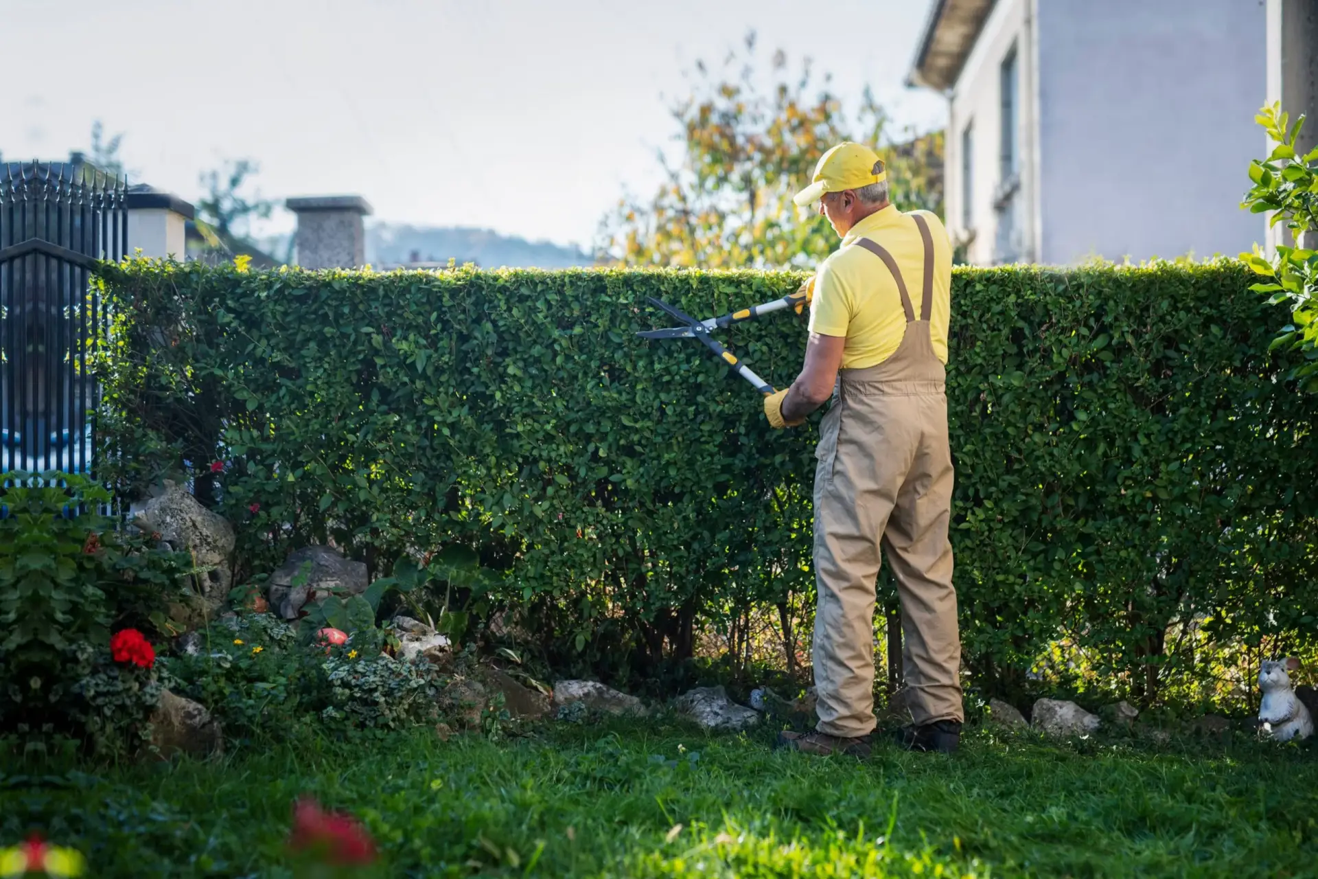 Coquitlam tree service