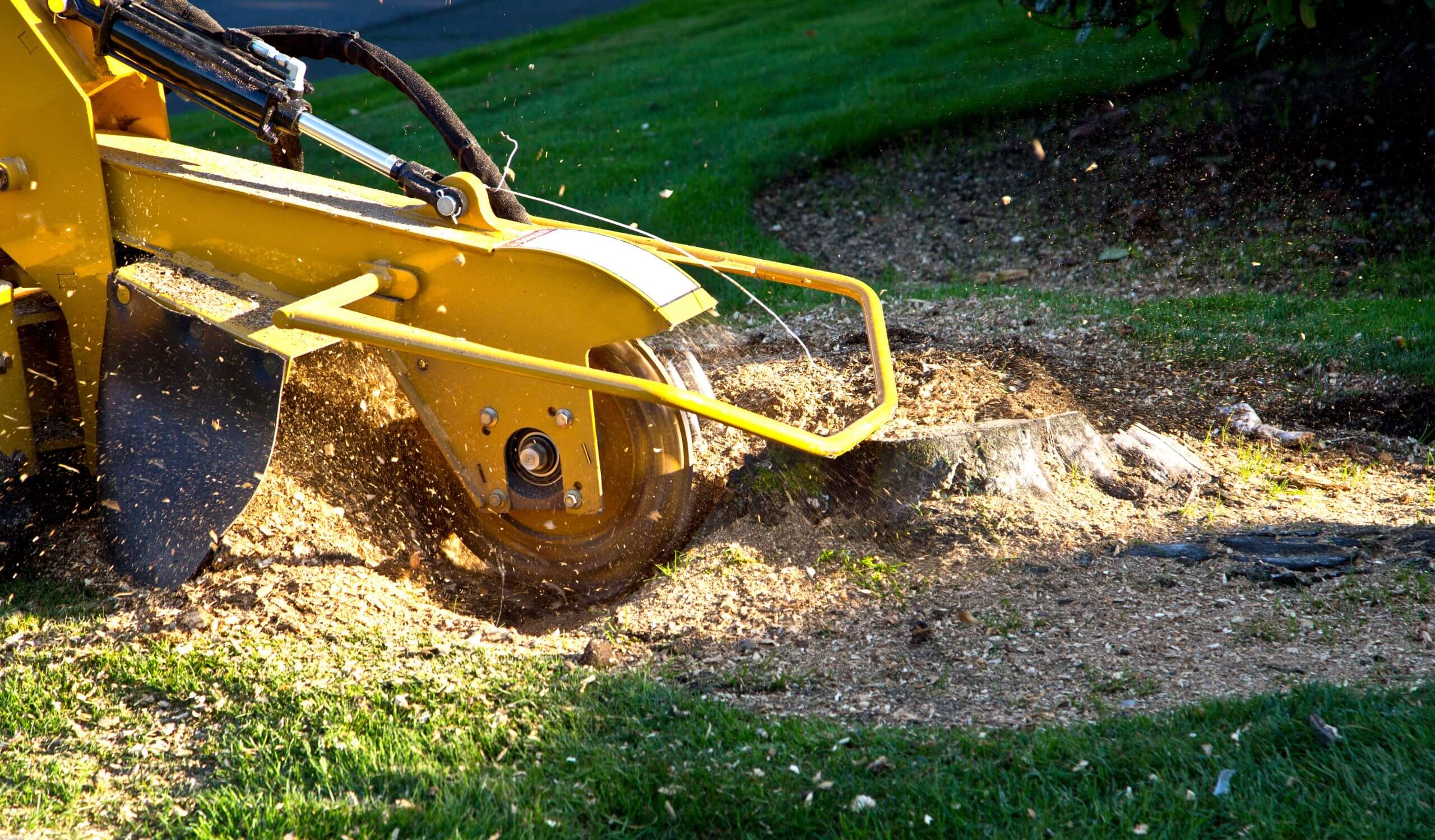 stump grinding
