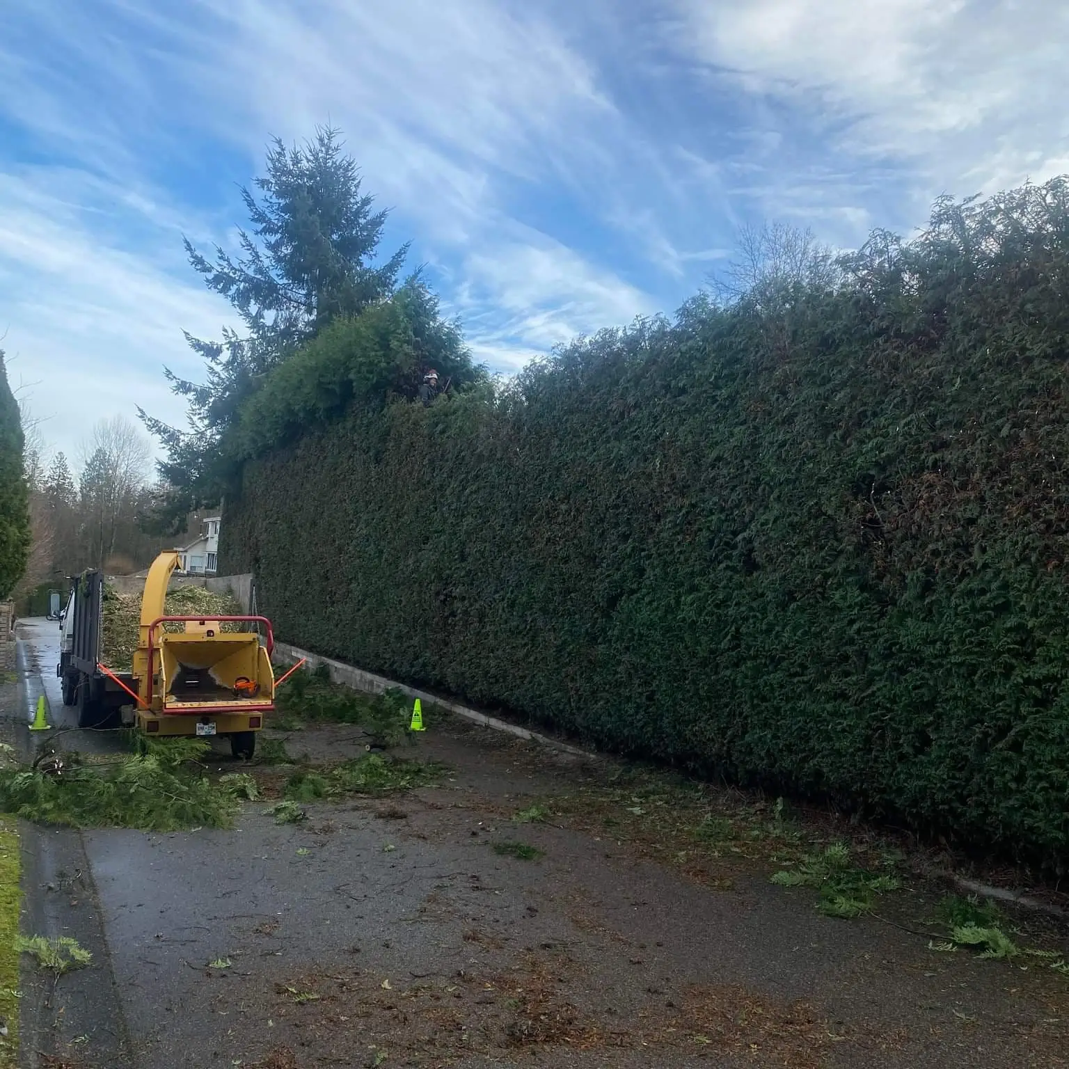 Hedge Reduction