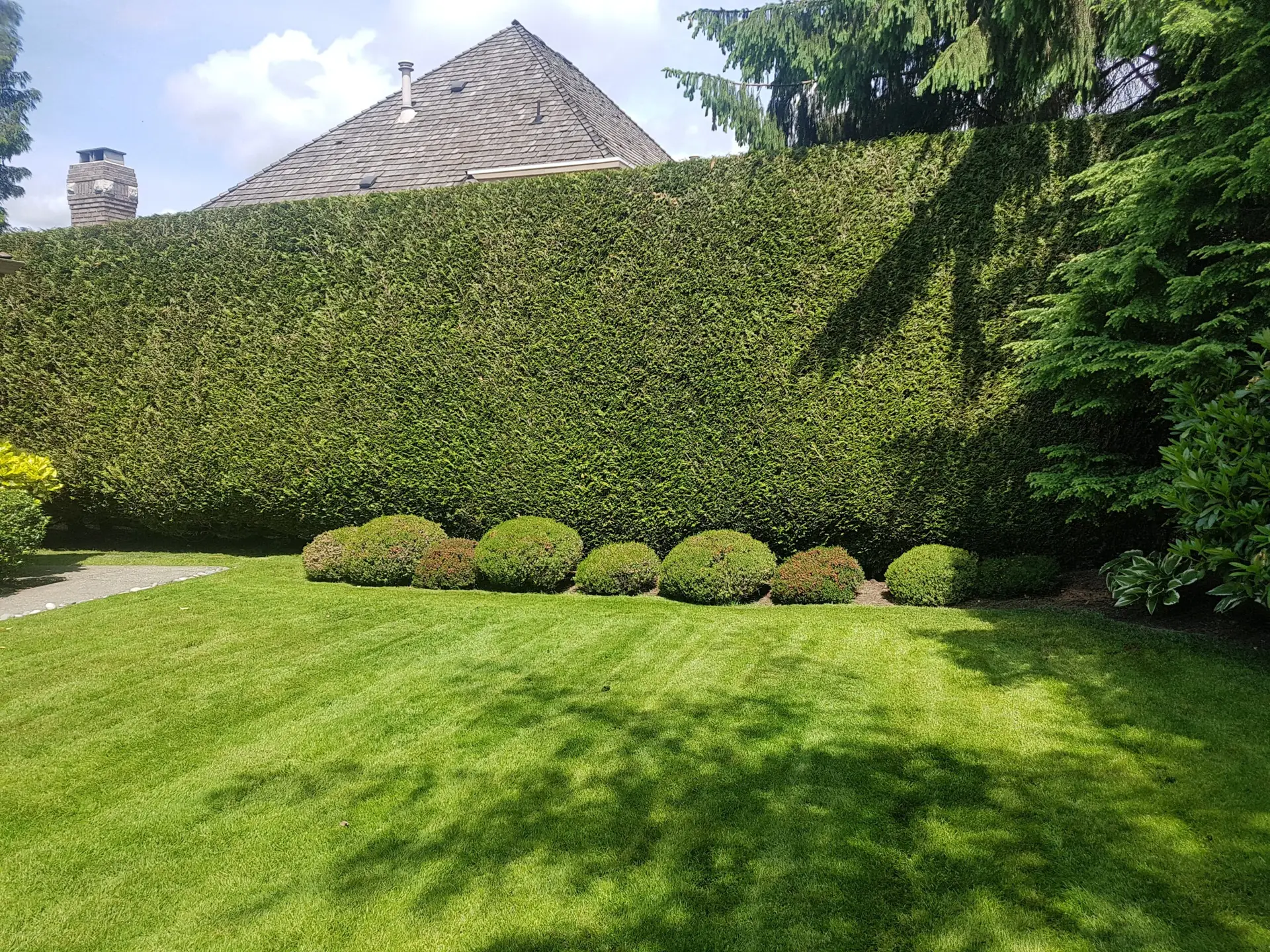 garden care