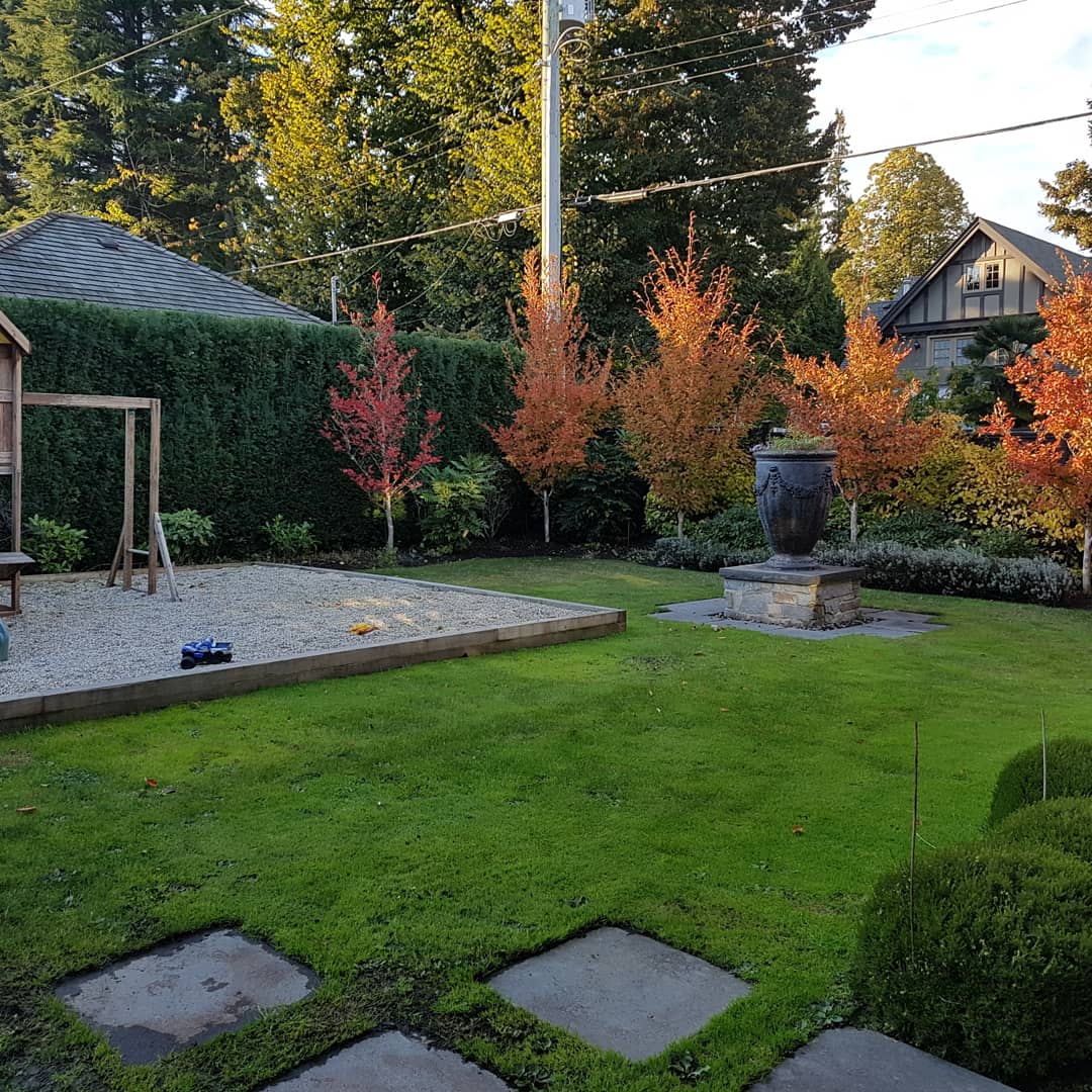 garden care