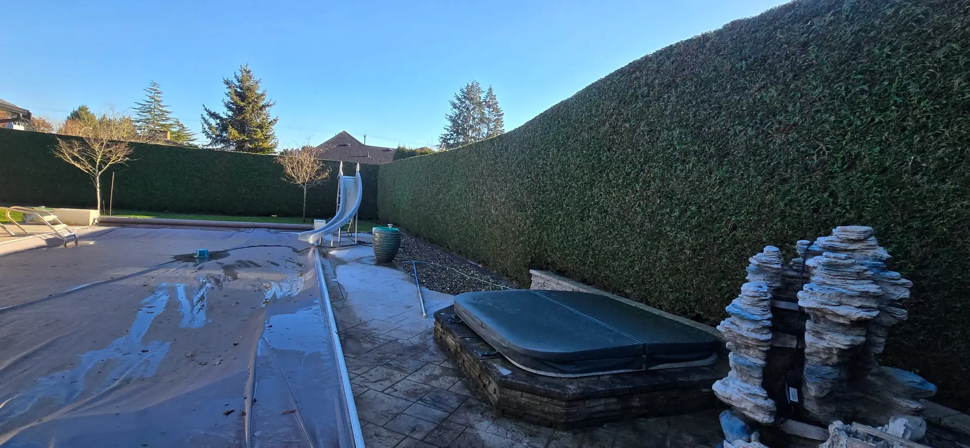 hedge trimming in ladner