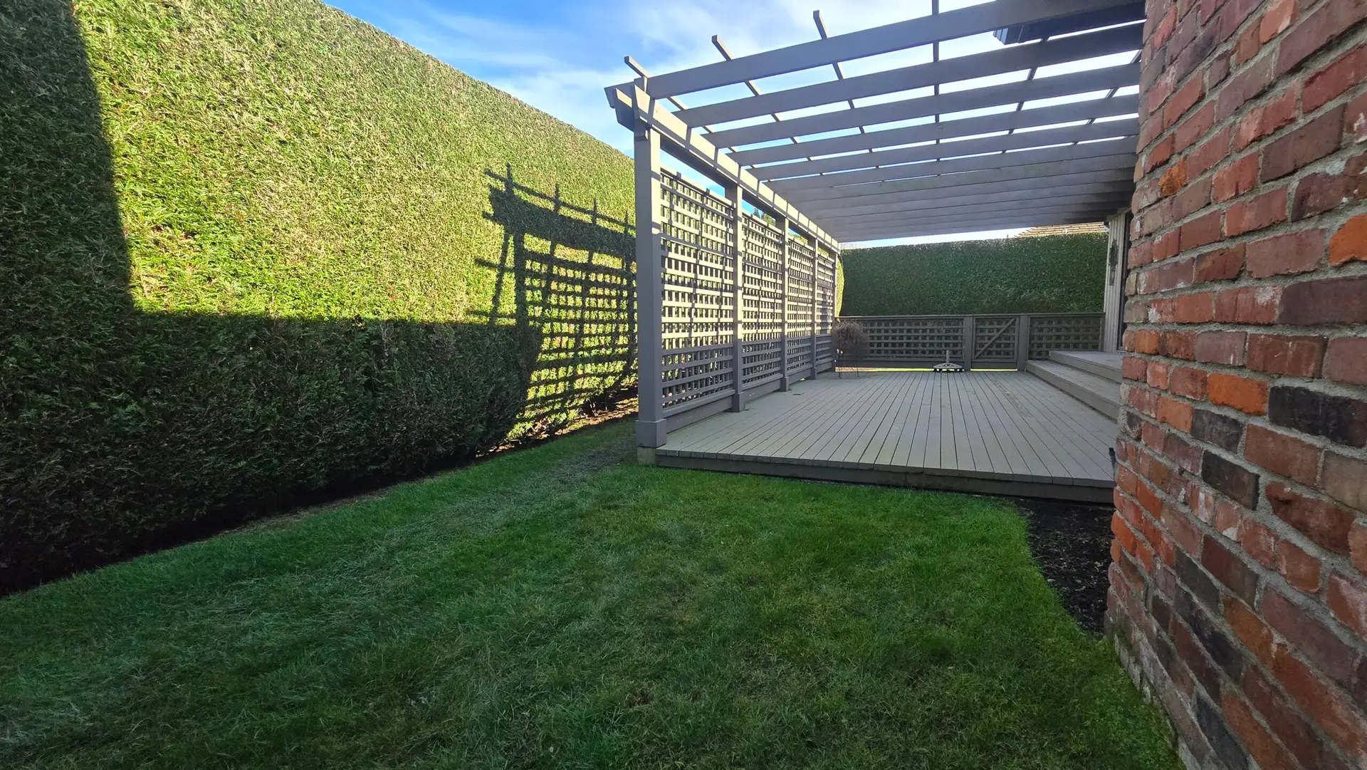 Hedge trimming in richmond
