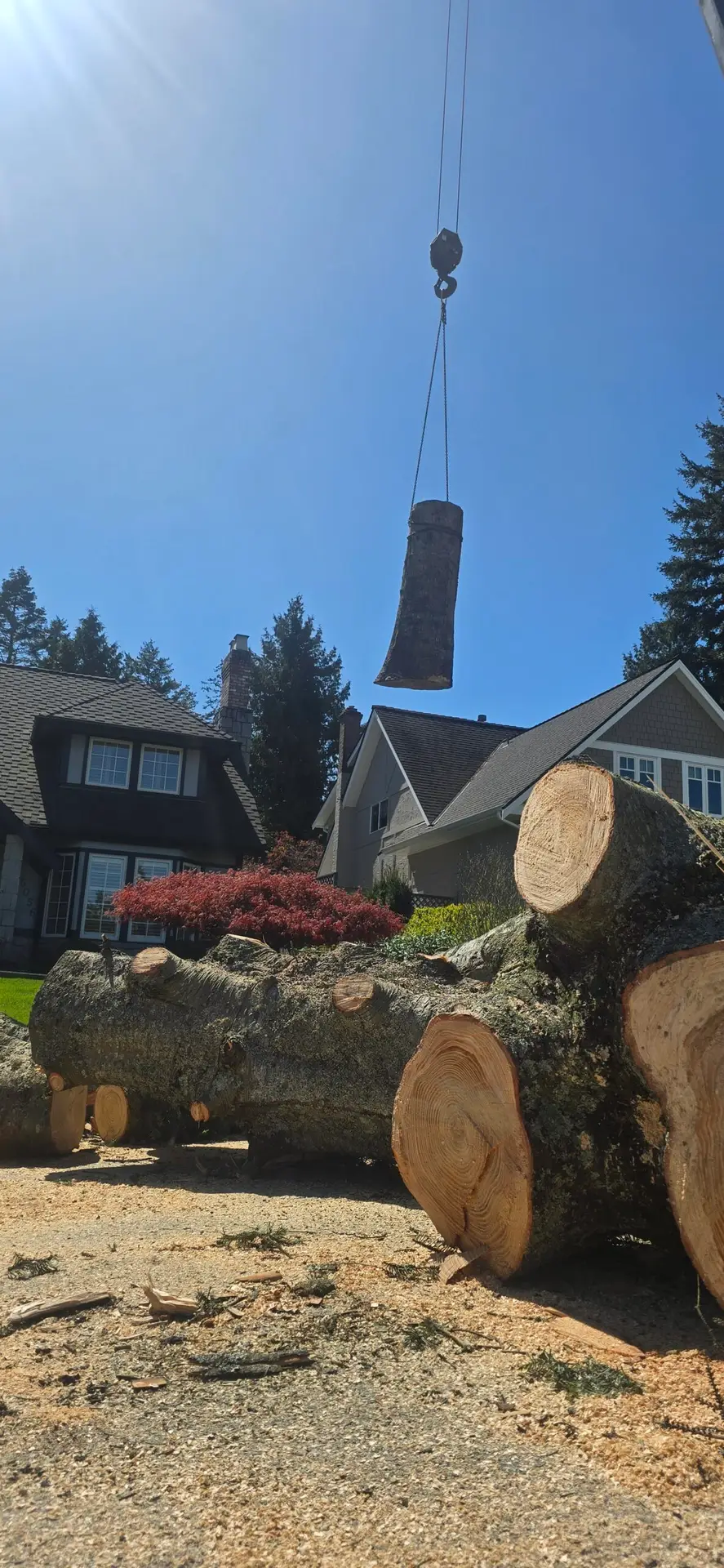 tree removal with crane in delta