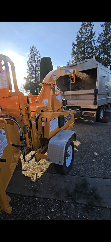 Chipping tree debris