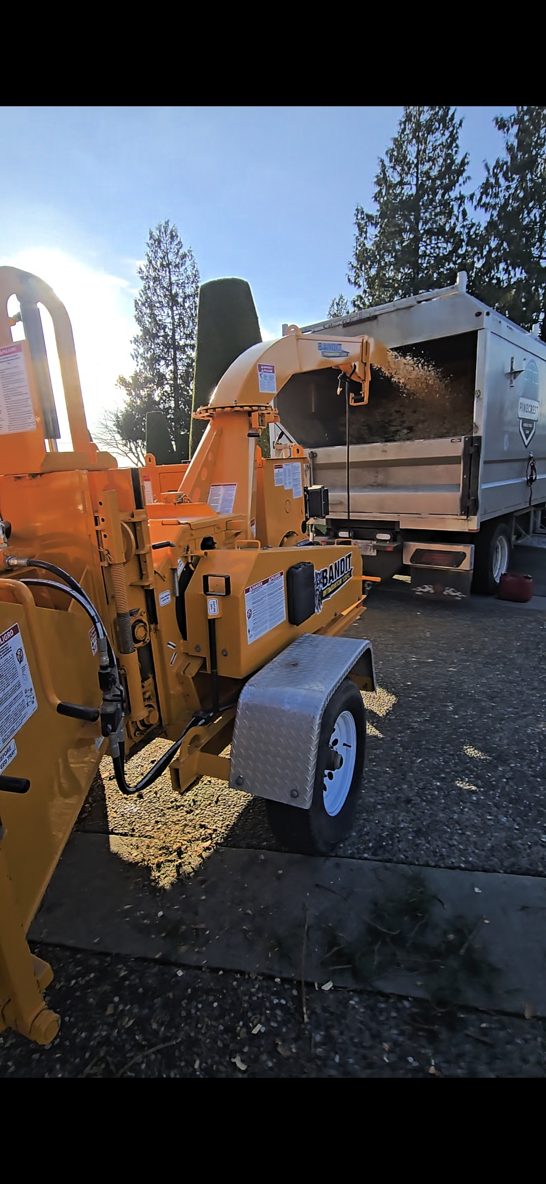 Chipping tree debris